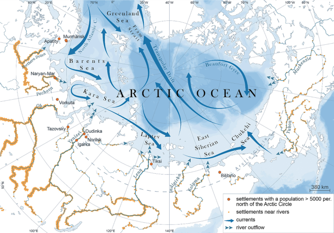 Research): Microplastics in the Arctic Benthic Fauna: A Case Study of the  Snow Crab in the Pechora Sea, Russia | SpringerLink