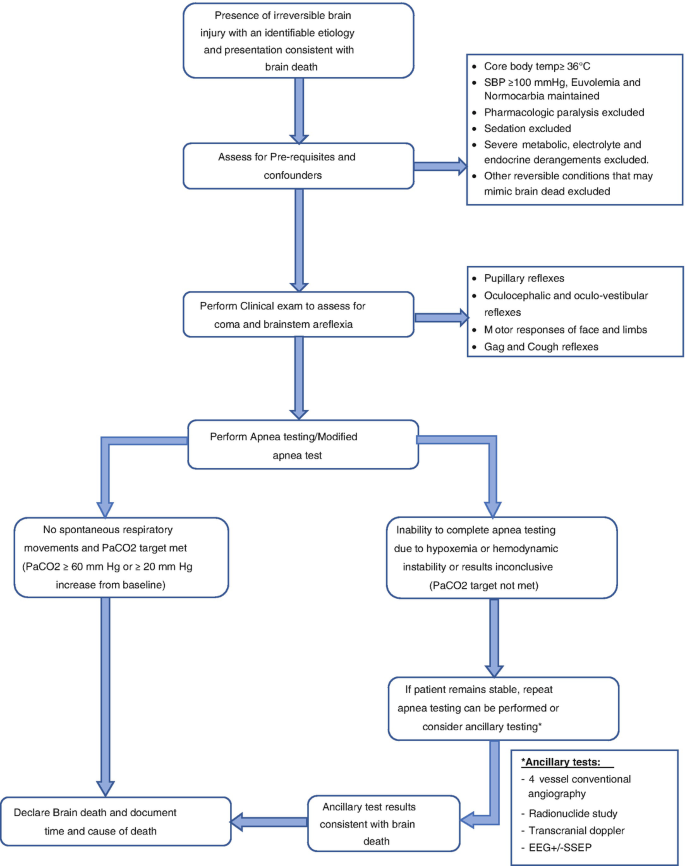 Apnea Testing During Brain Death Assessment: A Review of Clinical Practice  and Published Literature