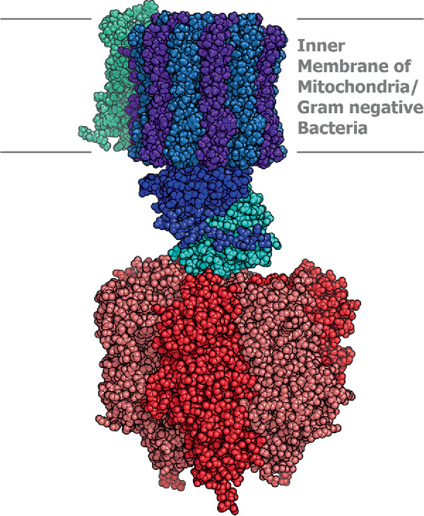 https://media.springernature.com/lw685/springer-static/image/chp%3A10.1007%2F978-3-030-90267-4_11/MediaObjects/504534_2_En_11_Fig31_HTML.png