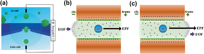 Experimental Approaches To Solid State Nanopores Springerlink