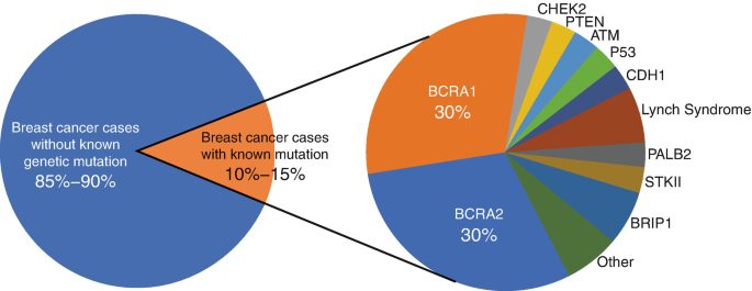 Genetic Syndromes and RT for Breast Cancer