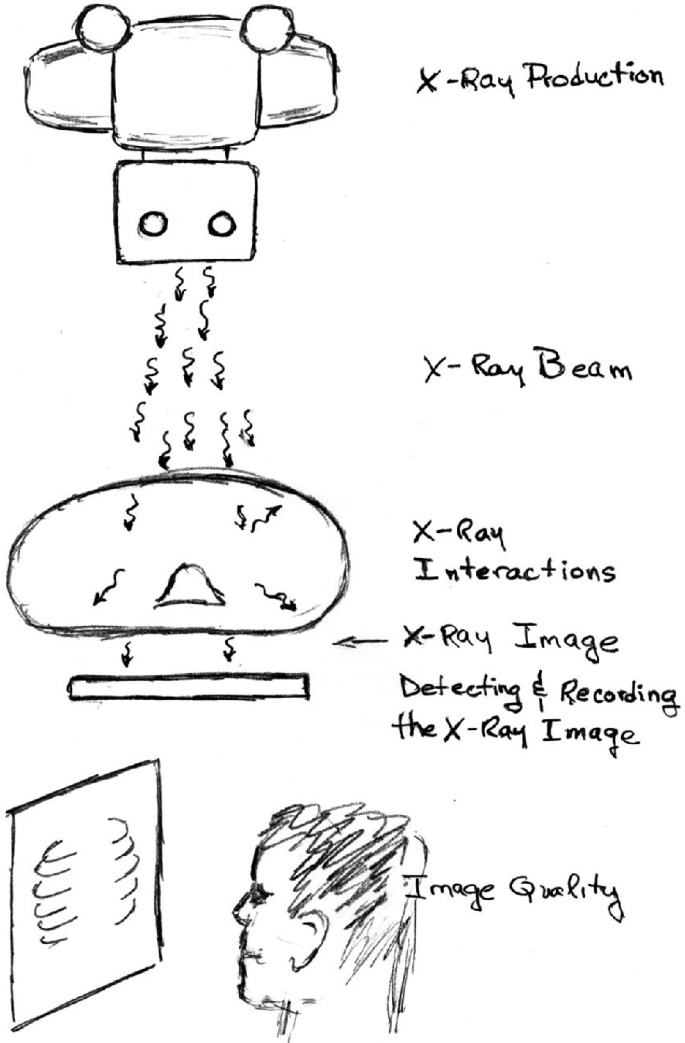 Ditki, Medical & Biological Sciences on X: If your science classes are  overwhelming, try our Drawing Exercises - break it down into simpler  pieces! #ditki #physiology #meded #medicalscience #medicalschool  #medstudent #usmle #medicine #