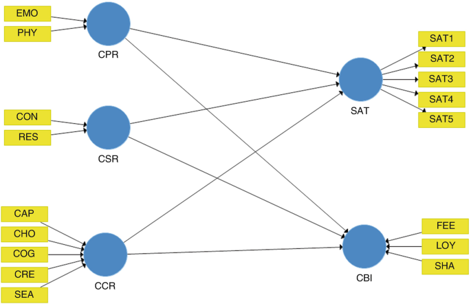 A diagram exhibits a network of C P R, C S R, C B I, C C R, and S A T constructs with respective connections from E M O and P H Y, C O N and R E S, F E E, L O Y, and S H A, and C A P, C H O, C O G, C R E, and S E A, and to 5 items.