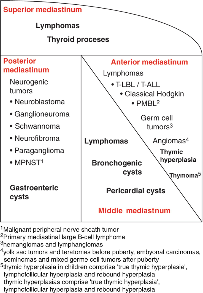 Pathological Aspects of Mediastinal Tumors in Children and Adolescents |  SpringerLink