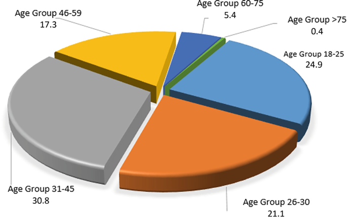 A 6 part pie chart depicts 6 ranges of age groups in percentage. Age group 46 to 59, 17.3; age group 60 to 75, 5.4; age group greater than 75, 0.4; age group 18 to 25, 24.9; age group 26 to 30, 21.1; and age group 31 to 45, 30.8