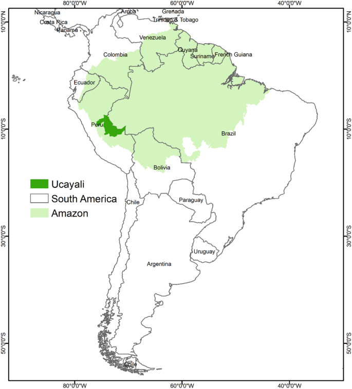 Biodiversity Islands and Dominant Species in Agricultural Landscapes of the  South Western Amazon, Perú | SpringerLink
