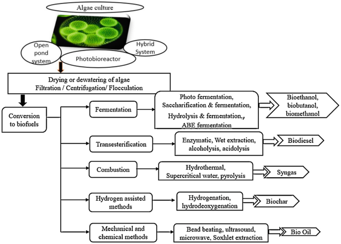 A Study of Salvaged Cyanobacteria Slurry Treatment Using Liquefied Dimethyl  Ether: Dehydration and Organic Matter Extraction