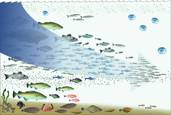 Cultivable coastal water species of Fishes, Crustaceans, Mollusks,  Seaweeds.pdf