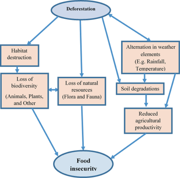 Deforestation and Forests Degradation Impacts on the Environment | SpringerLink Deforestation and Forests Degradation Impacts on the Environment | SpringerLink