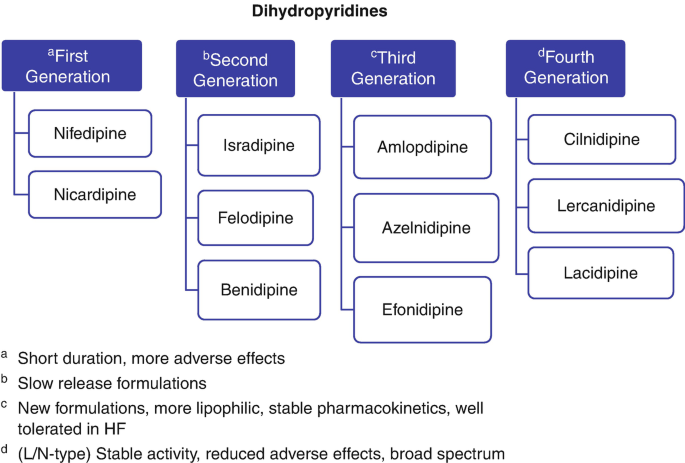 Newer Calcium Channel Blockers | SpringerLink