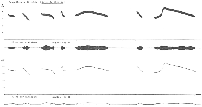 figure 24