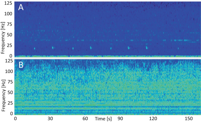 figure 24