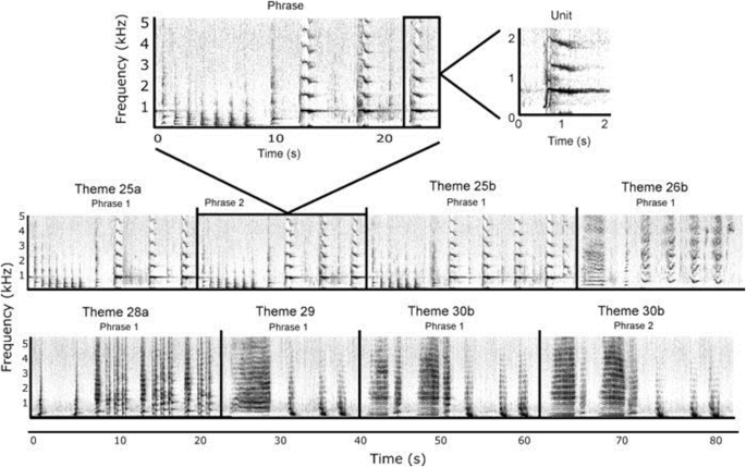 Detection and Classification Methods for Animal Sounds | SpringerLink
