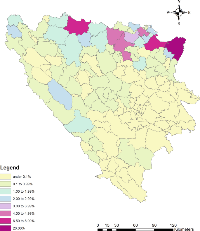 Economic Development of Bosnia and Herzegovina | SpringerLink