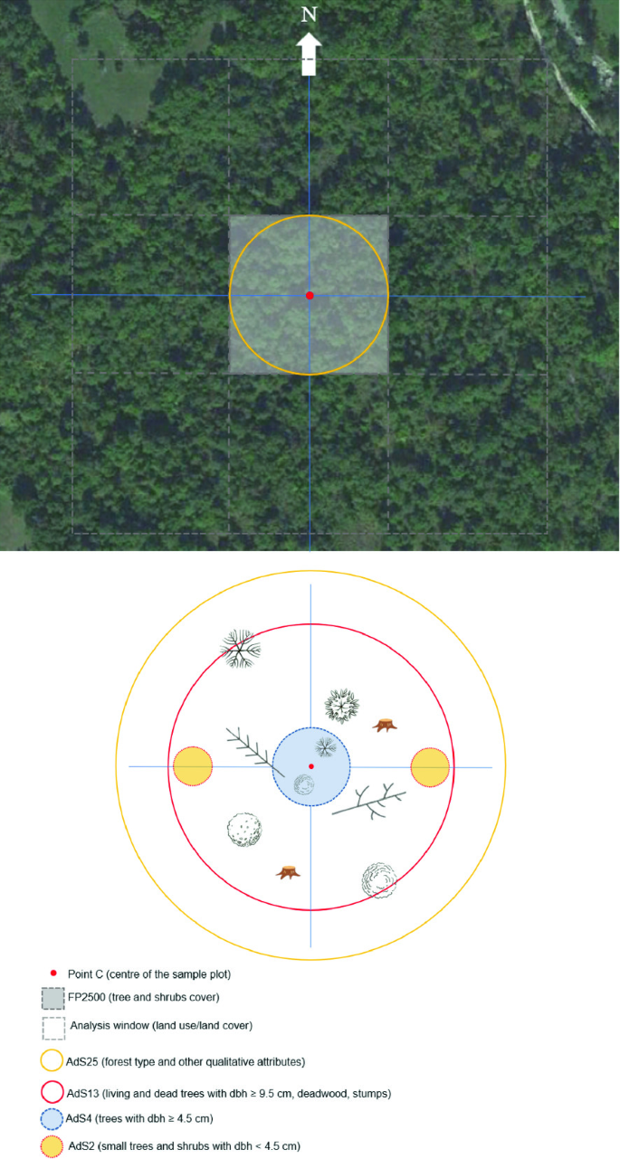 Renaissance vision from spectacles to telescopes, image size:685x1281