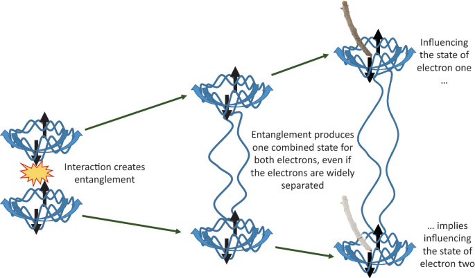 scientific diagram showing quantum decoherence process with particle interactions and information flow arrows