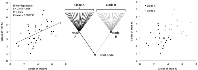 Two scatter plots illustrate the value of trait hashtag 2 over the value of trait hashtag 1, and the root node at the bottom diversifies into nodes A, which is Clade A, and node B, which is Clade B.