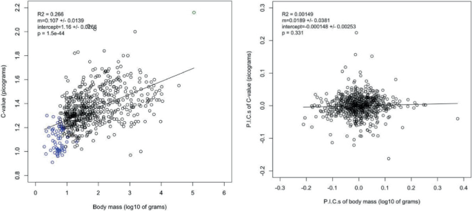 Two scatter plots of C-values, in picograms versus body mass, log 10 of grams, where R = 0.266, m =0.107+/-0.0139 and P I Cs of C values versus P I Cs of body mass,log 10 of grams, where R = 0.00149,m =0.189+/-0.0381.
