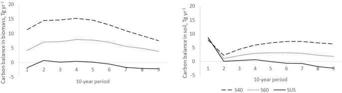 Two graphs plot carbon balance biomass and carbon balance soil. Lines are plotted for S 40, S 60, and S U S.