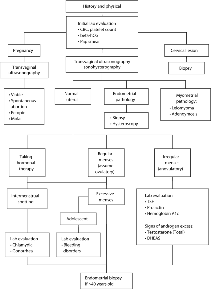 Postmenopausal bleeding: first steps in the workup: is it endometrial  cancer? When a postmenopausal woman presents with unexpected vaginal  bleeding, this algorithm and review can help you answer that question  without delay 