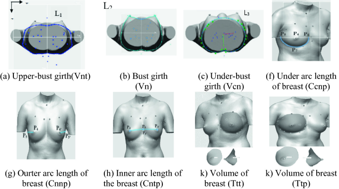 Breast Classification of Young North Vietnamese Women Using K