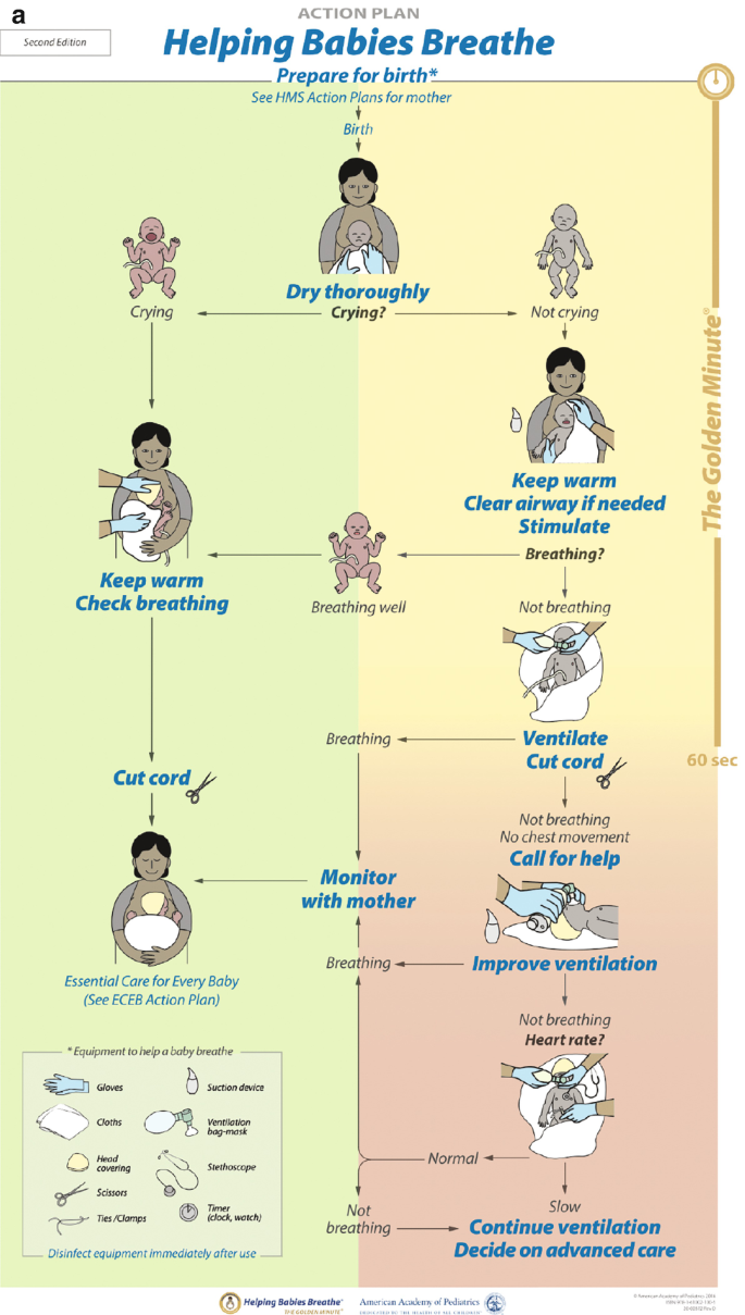 – Emergency Medicine EducationHypertensive Crisis in Kids -   - Emergency Medicine Education