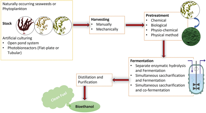 A critical review on second- and third-generation bioethanol production  using microwaved-assisted heating (MAH) pretreatment - ScienceDirect
