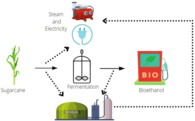 Sugarcane First-Generation Bioethanol Units and Advancements in