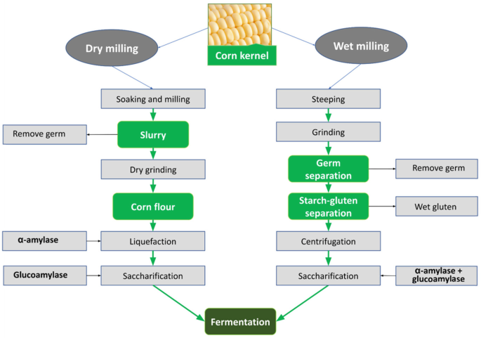 Corn First-Generation Bioethanol Unities with Energy and Dried Grains Solubles (DDGS) Production | SpringerLink