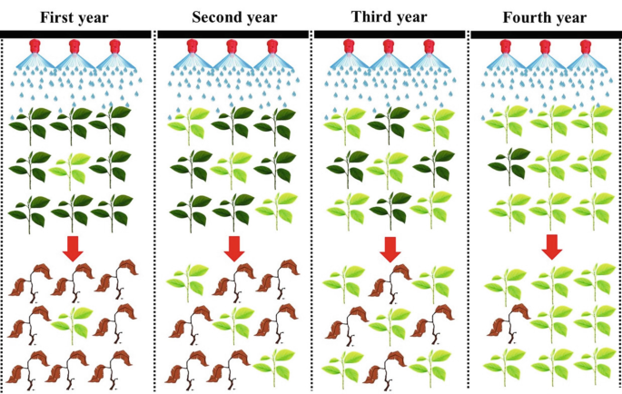 Evolution of Weed Resistance to Herbicides | Springer Nature Link