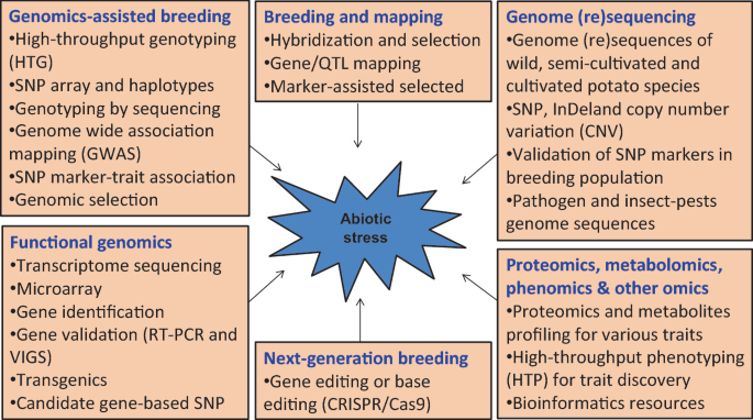 Six boxes with molecular approaches for abiotic stress management in a potato. Boxes are labeled genomics-assisted breeding, breeding and mapping, genome (re)sequencing, proteomics, other omics, next-generation breeding, and functional genomics. Arrows point in the center towards a polygon with abiotic stress written on it.