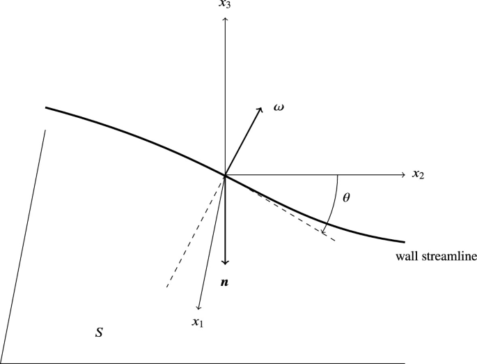 A three-dimensional graph with x1, x2, and x3 as the axes, in the plane wall S. The graph has a wall streamline, unit normal vector, and vorticity vector.