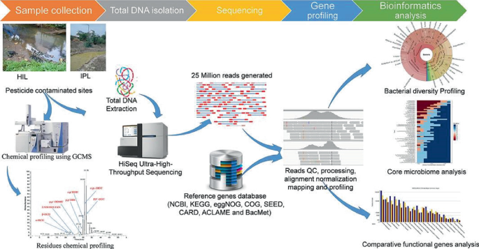 A schematic diagram describes the procedure for the evaluation of microbial diversity from pesticide contaminated and noncontaminated soil samples.