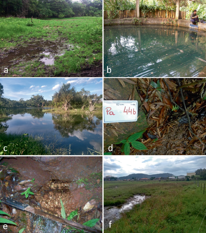 Hydrogeomorphology of Brazilian Springs: Between Diversity and Lack of  Knowledge | SpringerLink