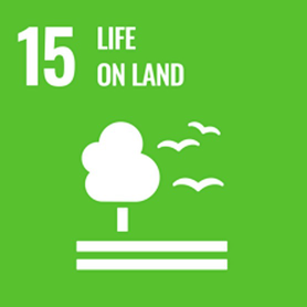 A poster with the title 15 Life on Land and a clipart of a tree with birds beneath it.