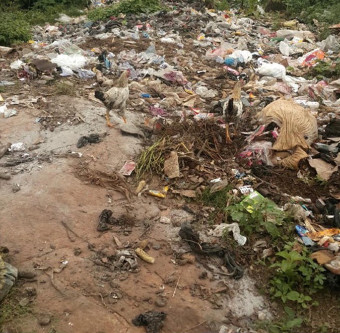 A frontal view of a waste area with roosters running around.