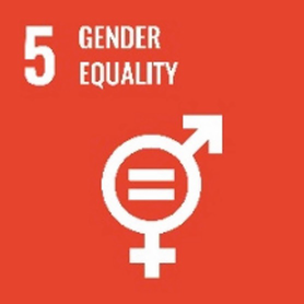 A poster titled 5 Gender Equality has an illustration of the equal sign surrounded by merged gender symbols, below the text.