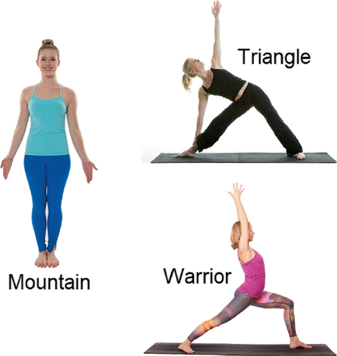 Live Yoga Pose Classification Using Image Processing And LR Algorithm