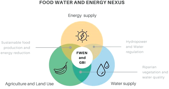 The water-energy-food nexus: What the Brazilian research has to