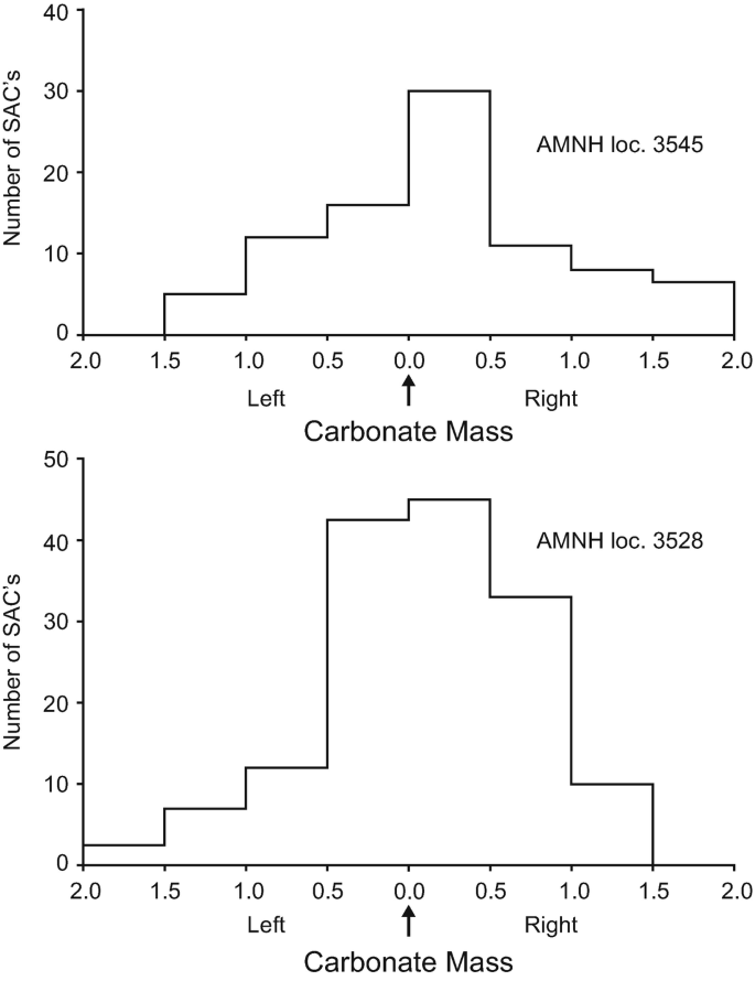 Two distribution graphs of S A Cs relative to the main carbonate body of two seep locations. In Graph A, S A Cs can be found between 1.5 meters left and 2.0 meters right of the carbonate body. The highest number is 30. In Graph B, S A Cs can be found between 2.0 meters left and 1.5 meters right of the carbonate body. 45 is the highest number.