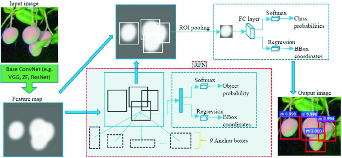 A flowchart of faster R C N N. It begins with a input image to feature map to R P N to R O I pooling to output image. R P N and R O I pooling has different stages in it namely f c layer , softmax and regression.