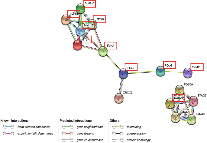 A schematic shows the known interactions, predicted interactions, and others. They are interlinked with each other in random groups.