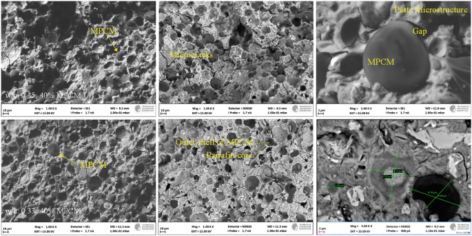 There are 6 scanning electron microscope images for M P C Ms, They look like surfaces with pores and magnified images are provided.