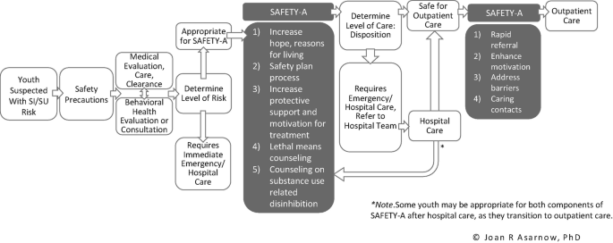 The flowchart depicts the SAFETY A Care Process Model. There are two SAFETY A steps. If Safety Precautions, Evaluation, Risk Assessment is complete and the patient is appropriate, the first SAFETY A step is conducted. The level of care is then determined. The second step is conducted when the patient is safe for outpatient care which then follows.