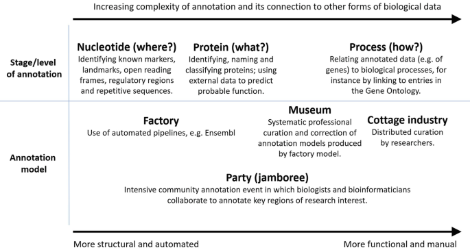 Models of annotation in diagrammatic representation. Two rows are titled, stage of annotation and annotation model consisting of nucleotide, protein, and process for the former and factory, party, museum, and cottage industry for the latter. The complexity of the stage and the functionality of models increase from left to right.