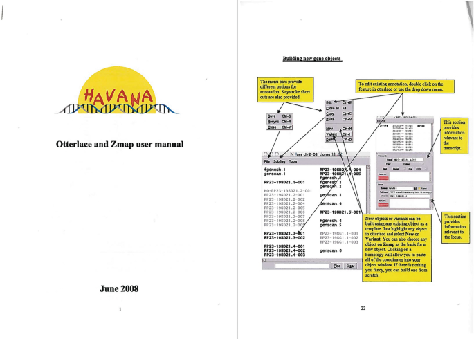 A cover page contains the logo of Havana and is dated June 2008. A selected page is titled, building new gene objects with the entire process illustrated.