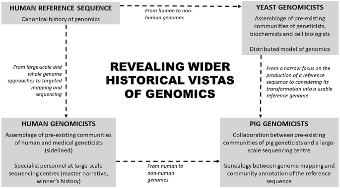 A schematic diagram in a rectangle shape with arrows moving in a cycle, reads, revealing wider historical vistas of genomics, at the center. The four vertices are labeled, a human reference sequence, human genomicists, pig genomicists, and yeast genomicists.