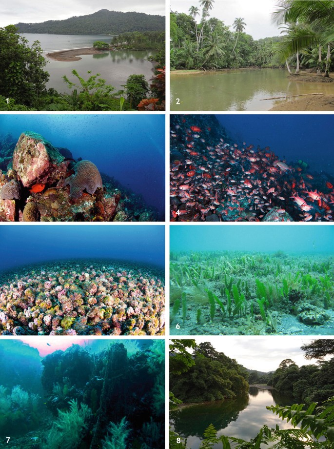 Eight photographs of major aquatic ecosystems in the Gulf of Guinea.It includes estuaries, mangrove forests,coral reefs, seagrass, open, deep-sea oceans, and rivers.
