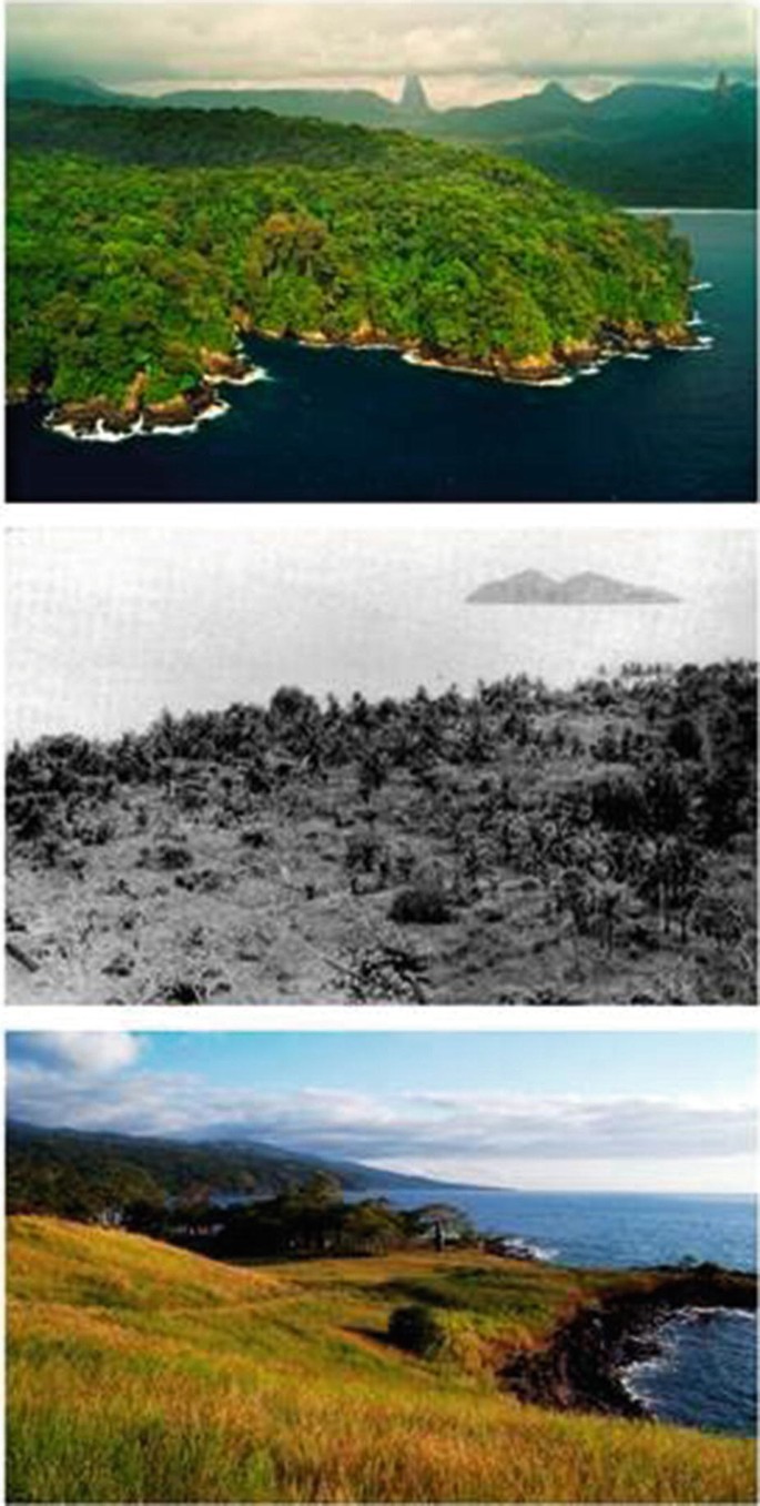 Three photographs depict the dense forests and surrounding mountains, the monochromatic picture of deforested land, and dry grassland near a waterbody, respectively.
