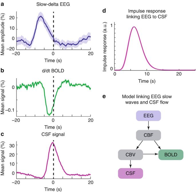 There are five representations. Part A is graph of mean amplitude, in percent, with respect to time. Part B is a graph of mean signal, in percent, with respect to time. Part C is a graph of mean C S F signal, in percent, with respect to time. Part D is a graph of impulse response with respect to time. Part E depicts the flow of E E G waves and C S F flow.